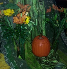 detail, pumpkin