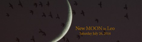 New Moon News, Leo 2014