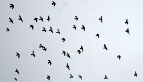 Screen Shot 2014-07-03 at 1.14.07 AM