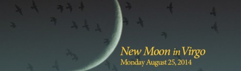 crescent moon, text says New Moon in Virgo, August 25, 2014
