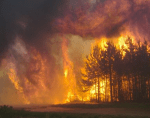 fire1