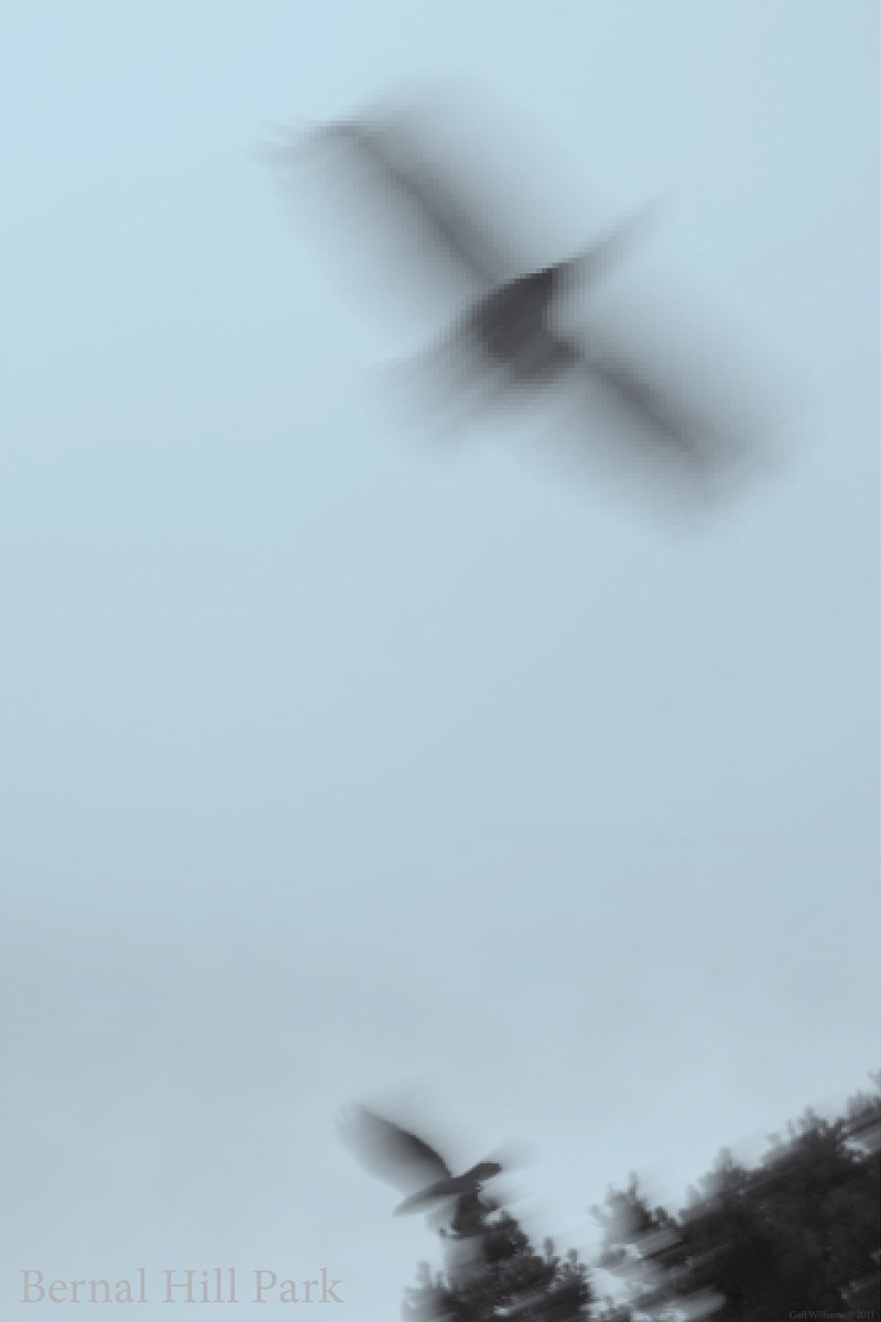 Bernal Hill Park - poster © 2011, 2-color process print