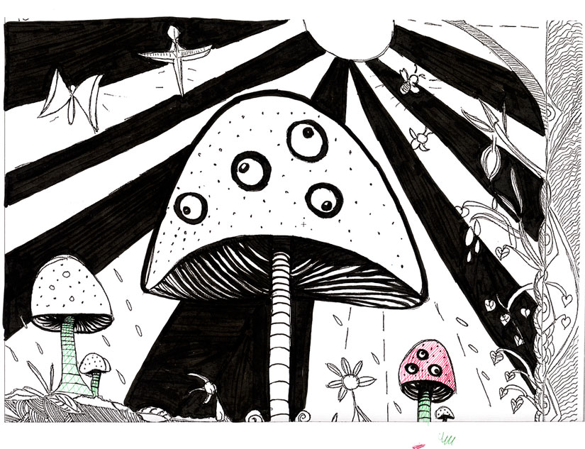 Daniel Pena de Castro Maia, mushroom page, © 2017